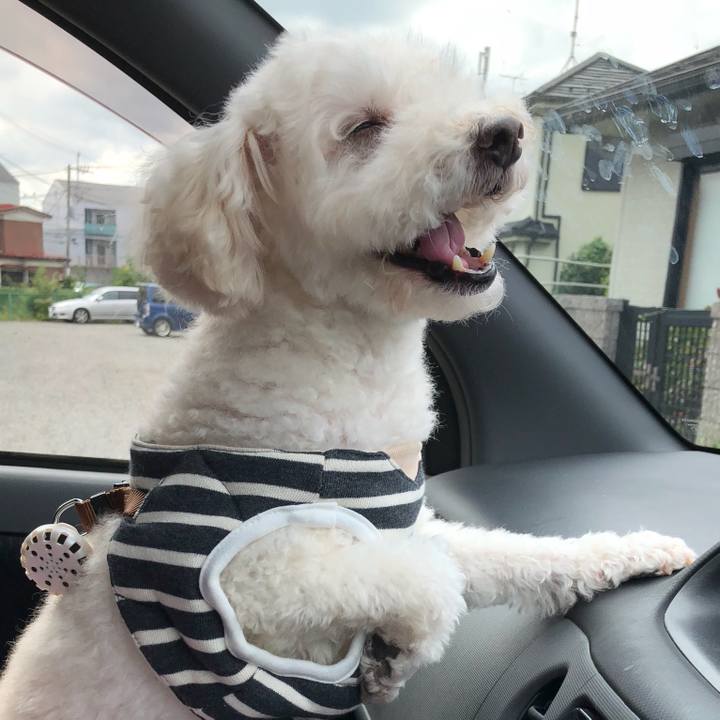 F654255f 7a34 4251 9061 cc1d716e87bb 1539140318696