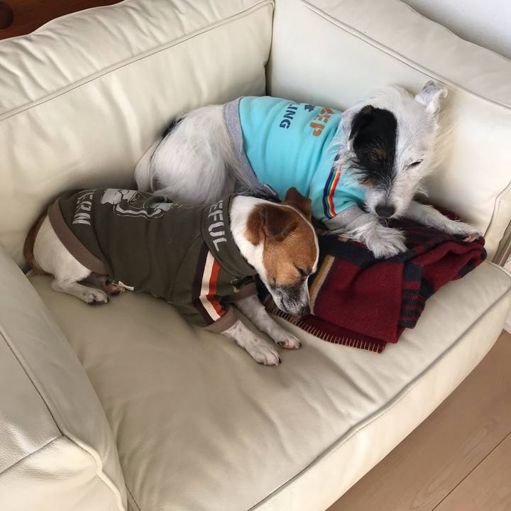 F6549971 327c 421e 806e adf30d6d76e0 1545111522941