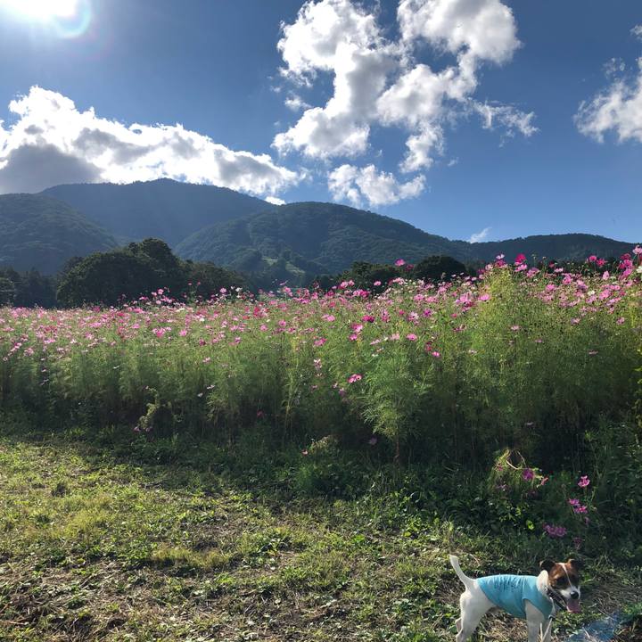 F654b143 e986 48a4 ad5a 31496c643a72 1600308284110