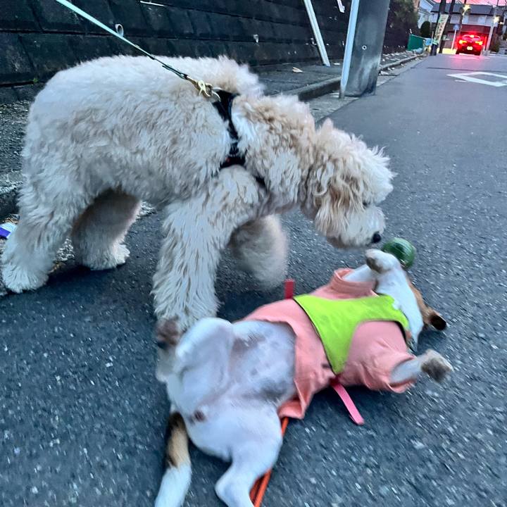 F654c1bd 09ee 4cb8 94e2 29f3dd70310c 1720698499605