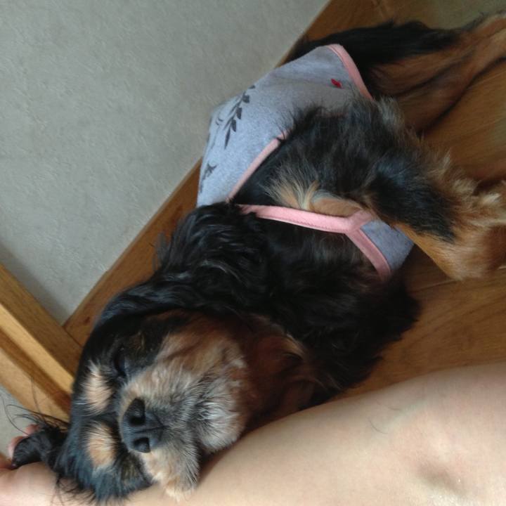 F654ca2b 5441 4f98 82eb 5e90ce8c1de5 1595581784416