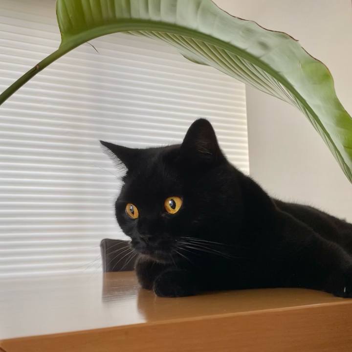 F65501d7 0d20 4774 8a22 f53b4d494fc8 1633742270665