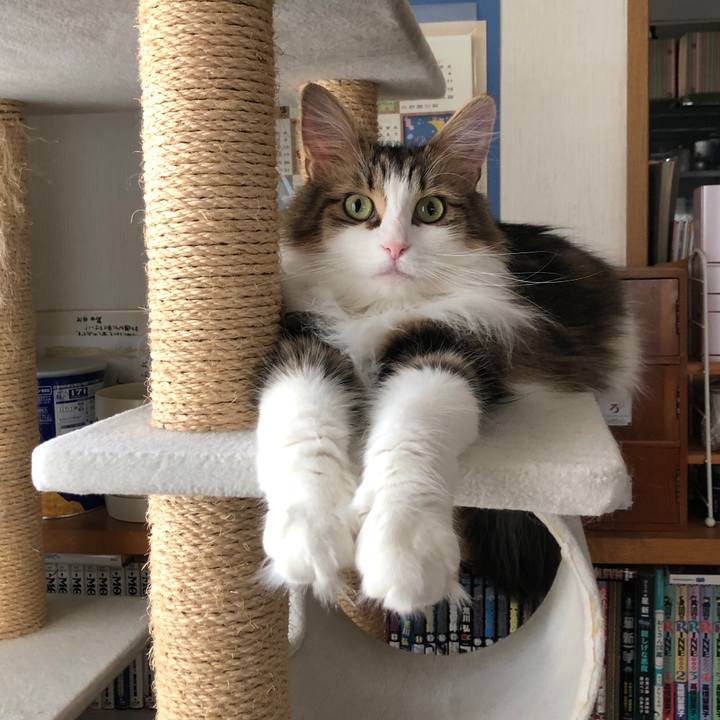 F6550559 47cb 407b b654 e8545622877e 1560381826281