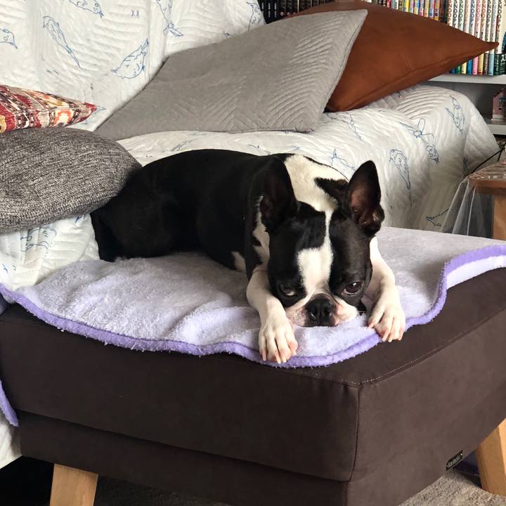 F6550f7b 990d 4b7b a528 33dc95d5db53 1596594221066