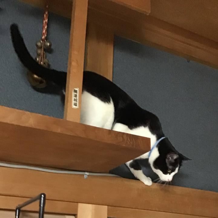 F6553c16 9a24 43fb b715 e7595f3a3540 1678358843693