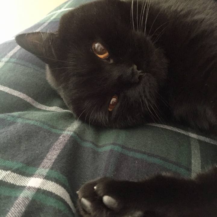 F6555c1d 47b1 4586 9427 d01c75fb3730 1542633671065