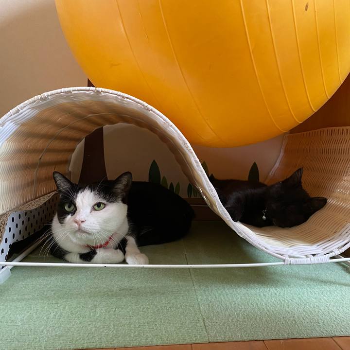 F655720e 72a7 4dfd 8d3c 576ad4ecb1ef 1637278961773