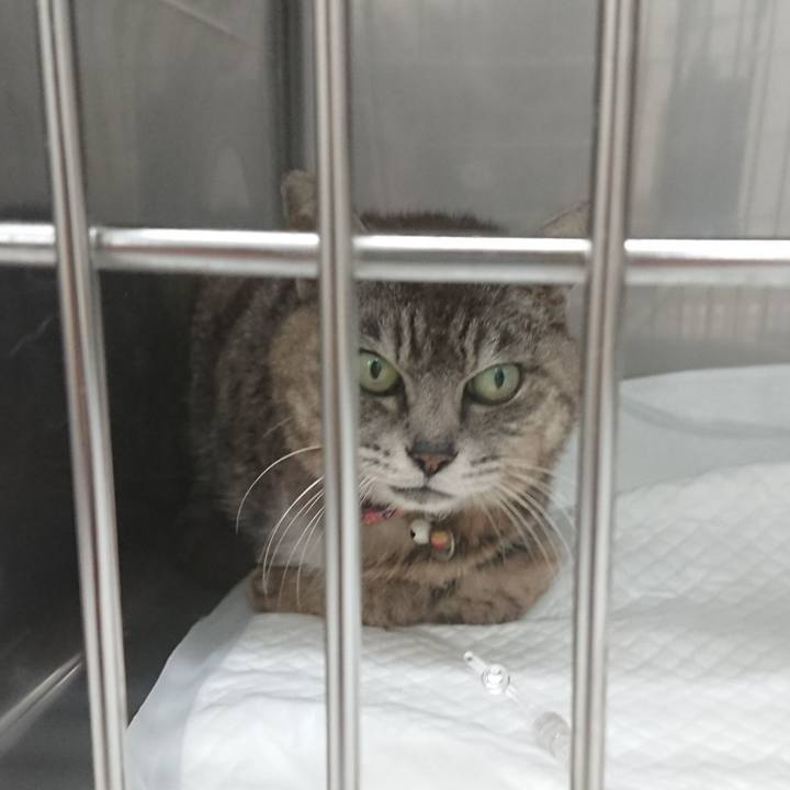 F65575b7 9495 4b93 93b5 5a80ecdfed9a 1595467026591