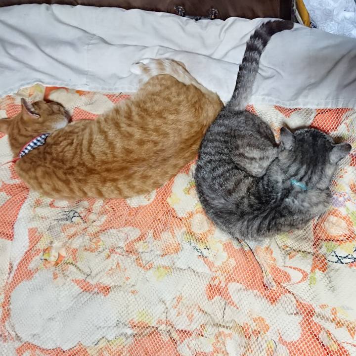 F655bfea eea3 413c 80cb 60741487230f 1569759112666