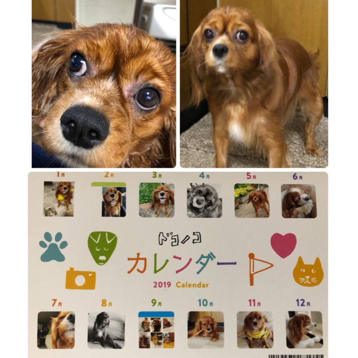 F655c360 6dc6 4840 a350 1d267c4e579a 1546080679794