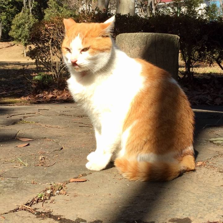 F65621db 948c 436c 998b a3b27d03e944 1549095009596