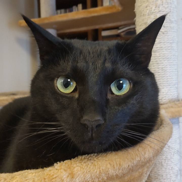 F6564bfc d1af 4a5d ae6e 9dbb018654a5 1640790048186