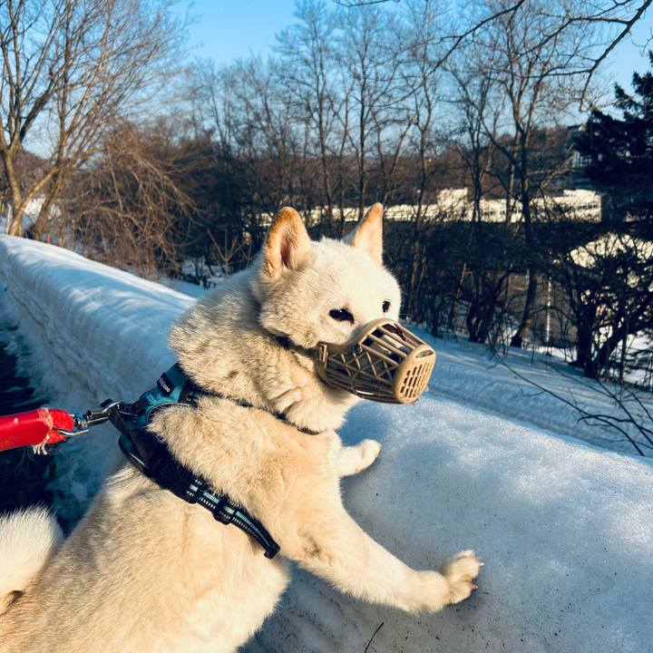 F6566d90 3ba1 40d1 b98f 6bb8a0400344 1773617571675