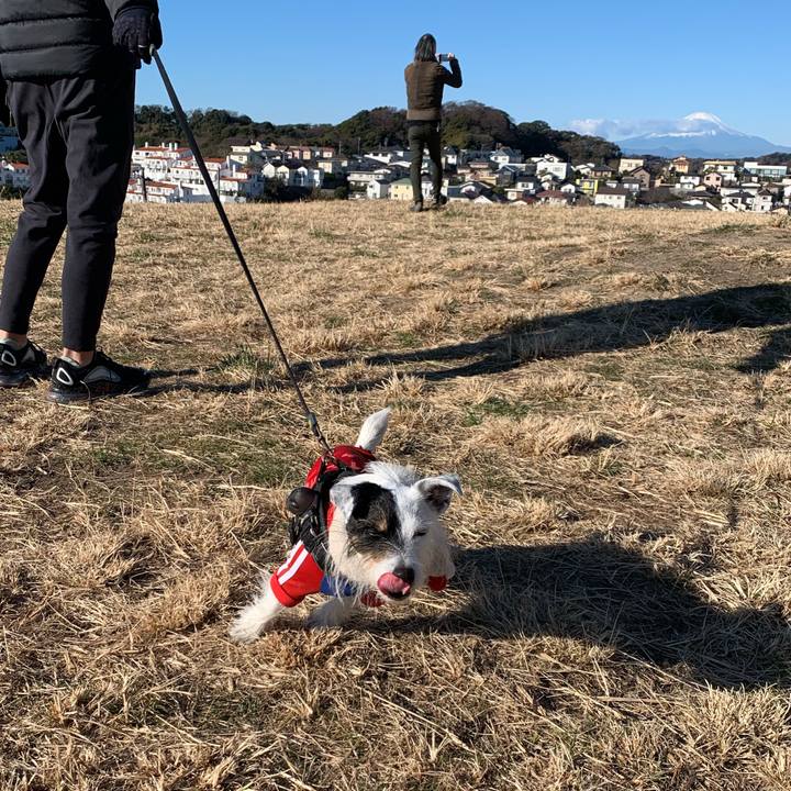 F656b644 06d1 434d a2ea deefbf13f2e1 1704694496063