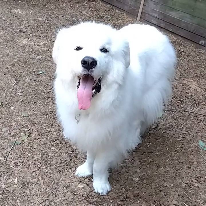 F656c9e4 5e14 491f aa57 fbb5f5501c55 1682937460024