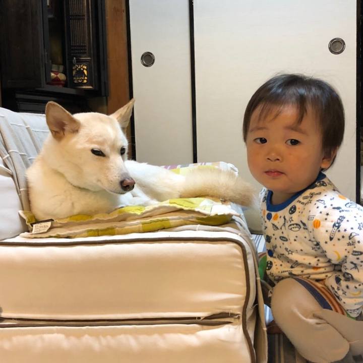 F657192f 0a5a 4304 8e9c d11addd1ffae 1540625151160