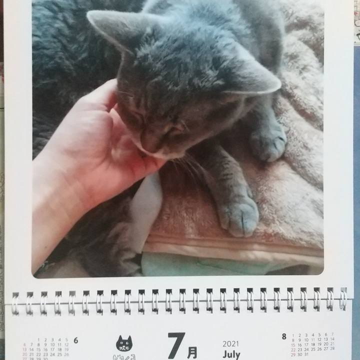 F65759e5 adf4 453e a15e c29de09e7d47 1625097597511