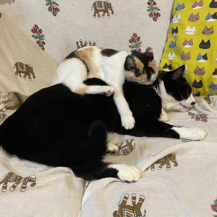 F6575e19 aa99 4a48 bc13 60cf3537158e 1666692252773