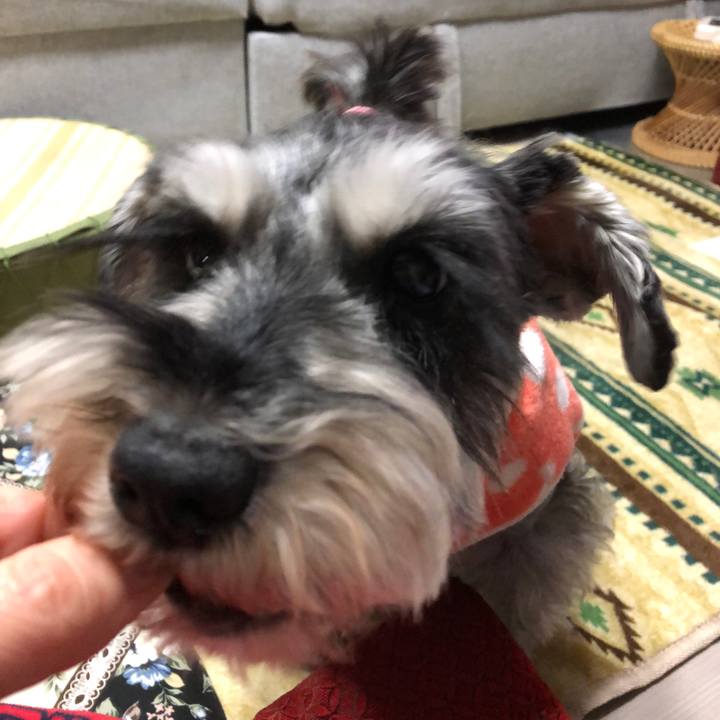 F657688f 4b3d 45eb be88 b55073857dd0 1641036757465