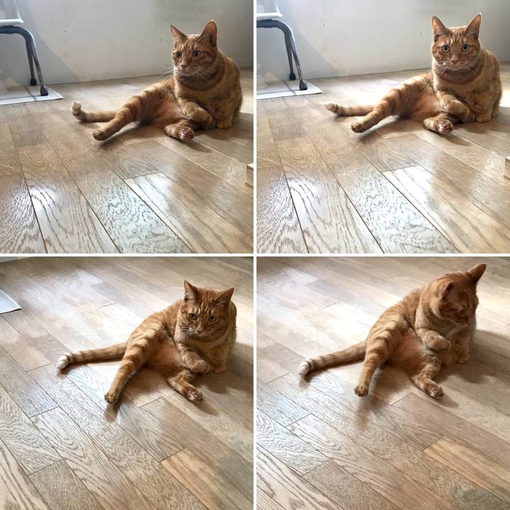 F6579527 fe3a 4669 ad4e 0eafc35d57fd 1510455030615