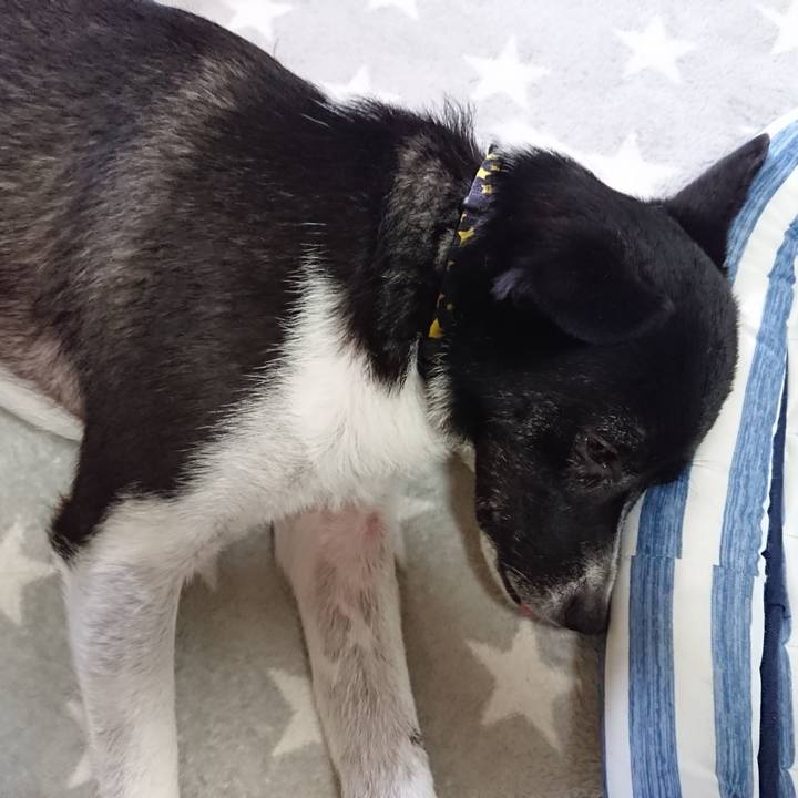 F6579573 cd55 4080 b47a 22b4029189eb 1531179565940