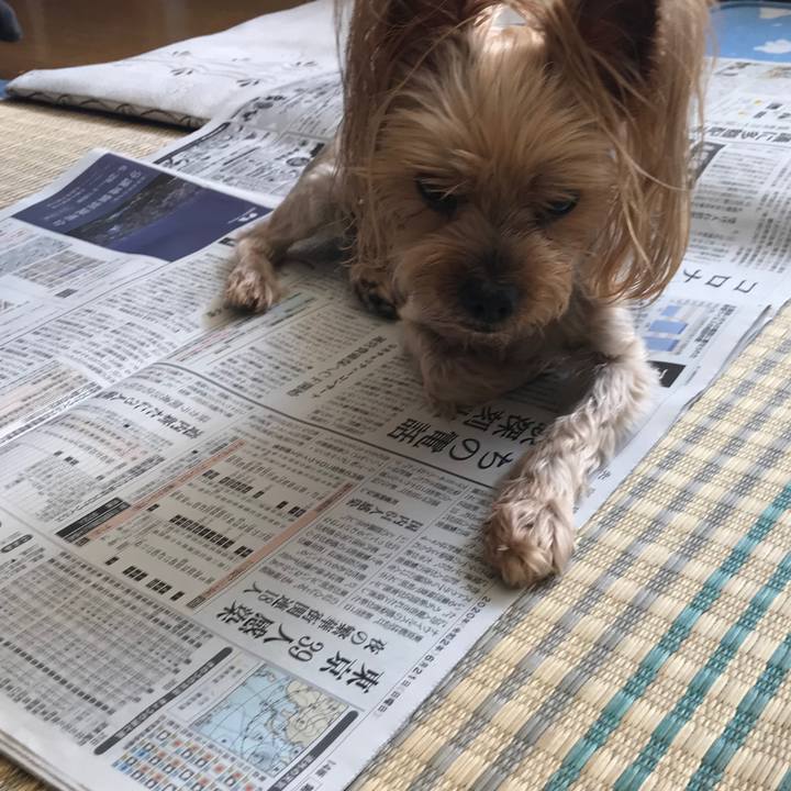 F657bcf8 613f 449c a92d 4b20ccac10b2 1592731707347