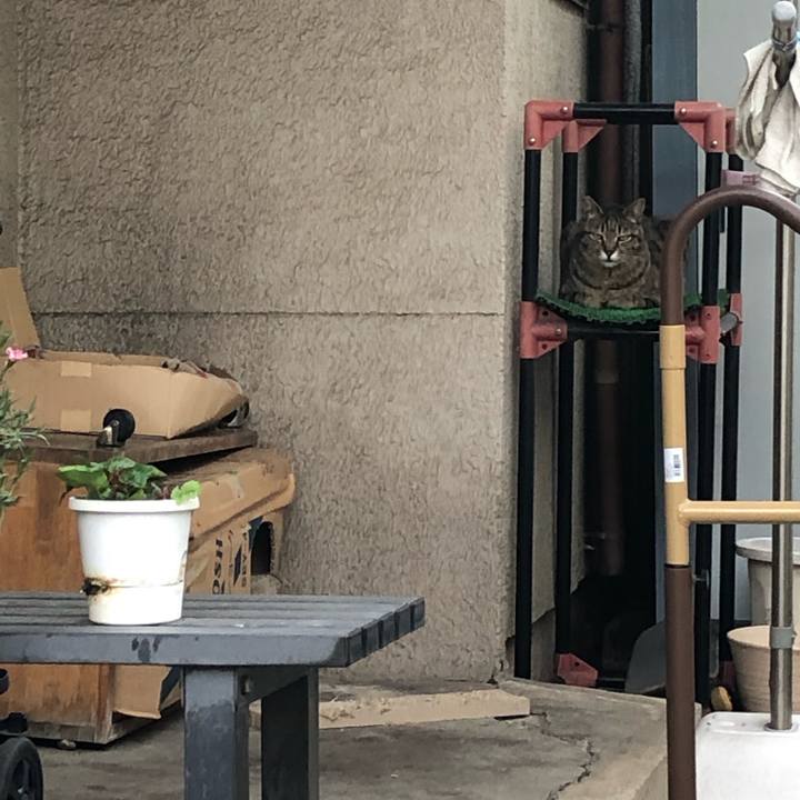 F657c4e9 7a43 4c6a a197 1e96edcc4ed4 1560856824797