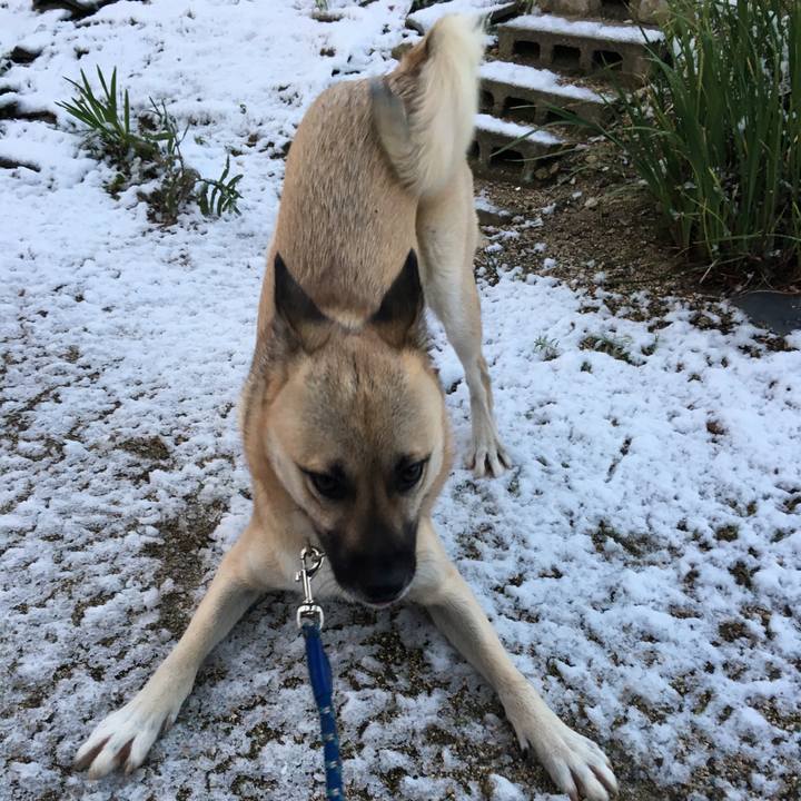 F657df77 59b8 4a17 8d7f b0fc96653f2b 1513077247733