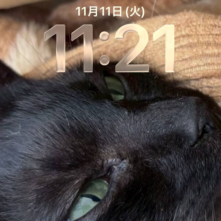 F657fd1f 0fae 4667 b830 82f6a8de7bdb 1762828488156