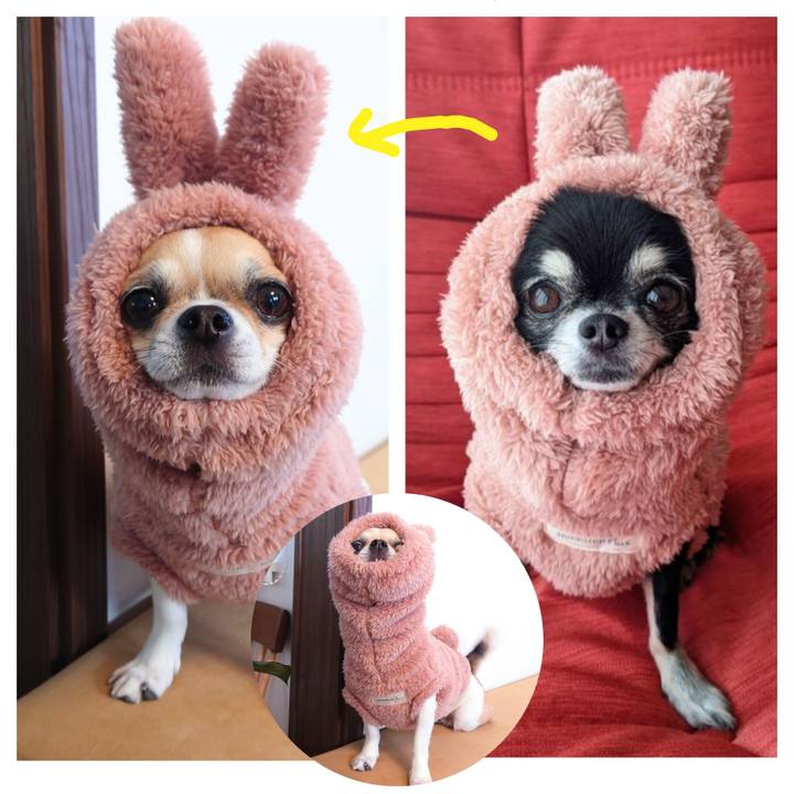 F6583bfb f121 4feb b52b 6c877f084388 1703293893271