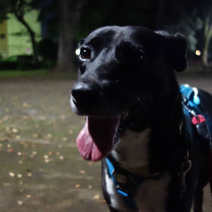 F6584211 70c4 4e3a 9262 fcb29d0c8fa2 1633949865399