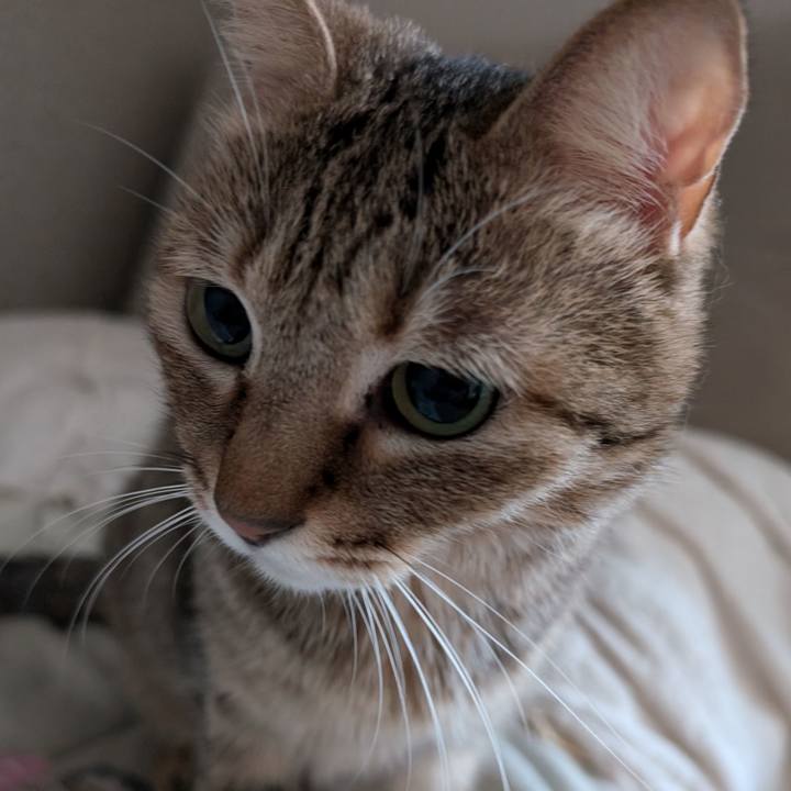 F65851ad d3b1 41b4 b4a9 1981c404d832 1760996518746