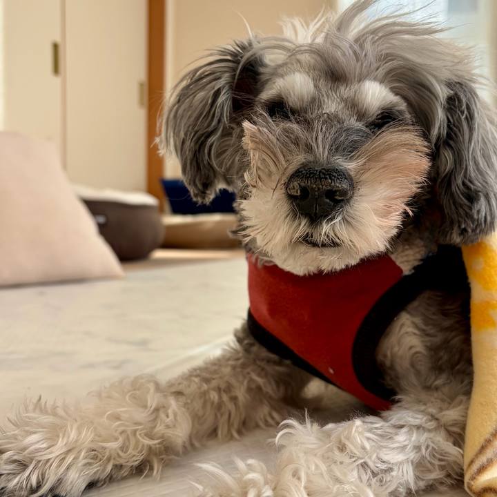 F6589066 c992 4a19 9314 cdf946389202 1767847890303