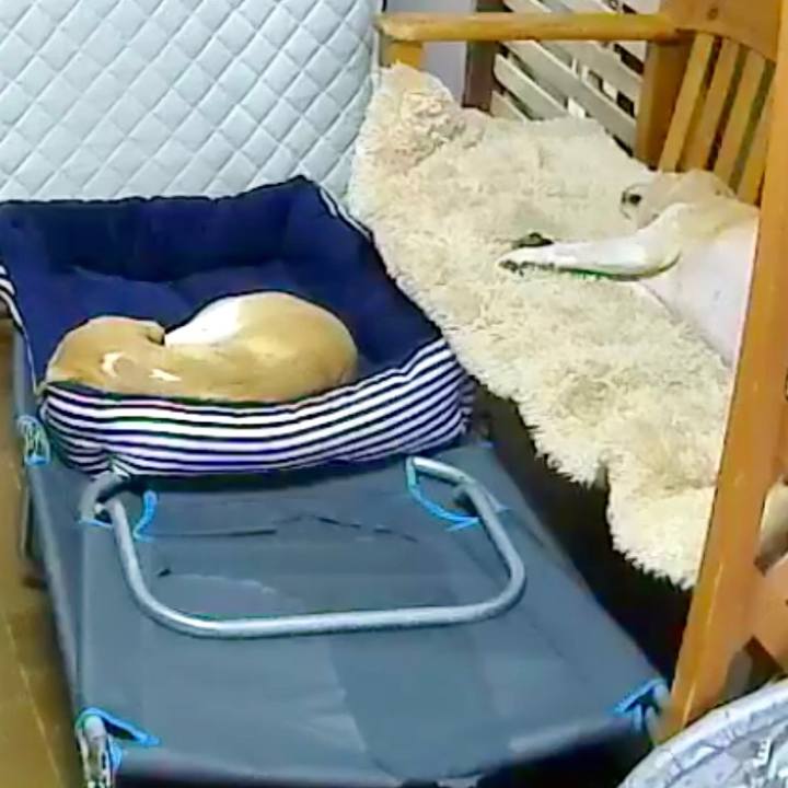 F658dabf a9f6 4c0d 9b13 646c66233ef2 1561094934380