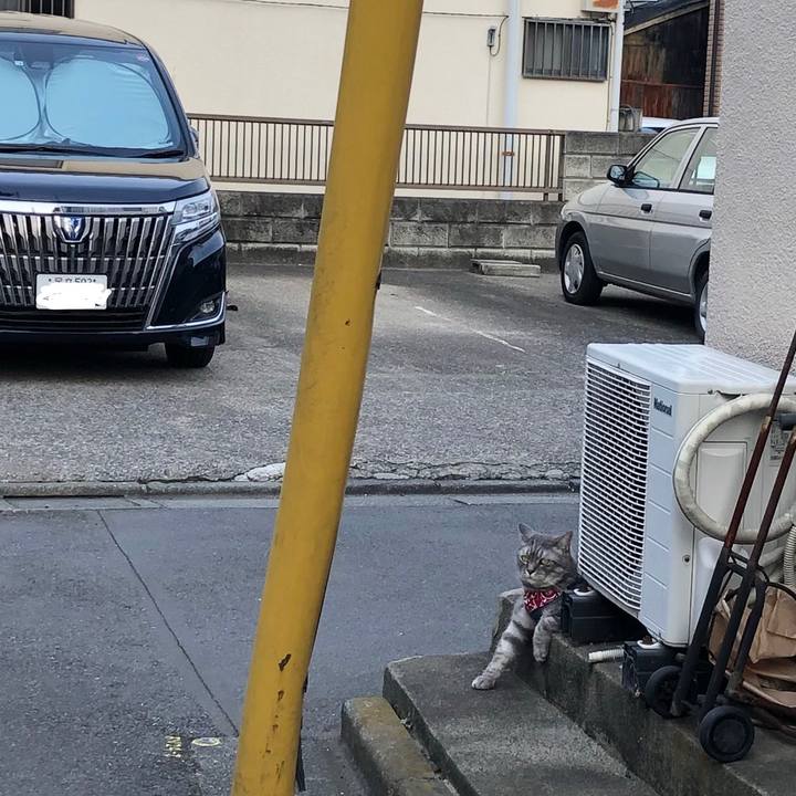 F658df78 bfa6 4006 9781 d38804459cba 1560856413118