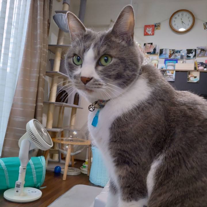 F658e1dc 9533 4625 a109 a23b4a37290e 1710660555751