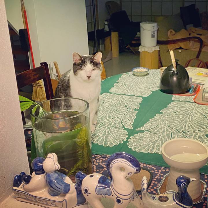 F658e4a0 5b66 4ba0 b5ef b69f8ccc5dbf 1578930748023