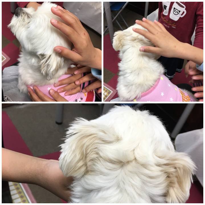 F6592f37 4dea 4be1 baf3 22d6219e14fc 1523689638695