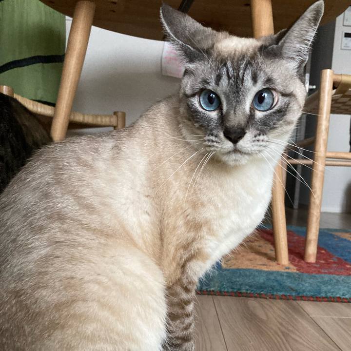 F6593224 5fb2 4936 a591 283f525f2226 1648708911036