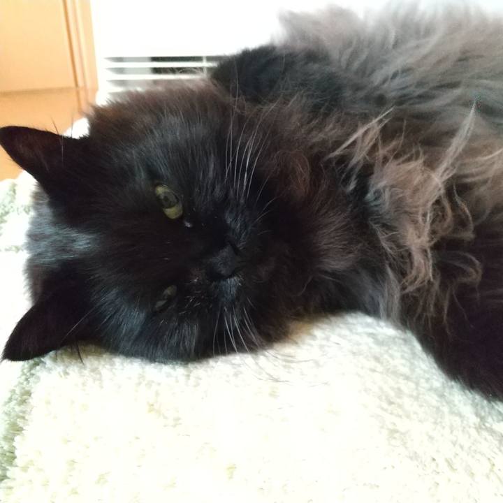 F6593a3b 2253 4247 bd38 e8fc1676a8d6 1617922356653