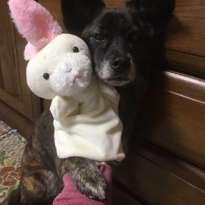 F6594df7 f66a 415f 8aff 4dc3751f960a 1546502979890