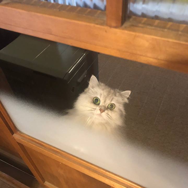 F65968e7 d49b 41cd 944a f94fad1966fc 1581587368142