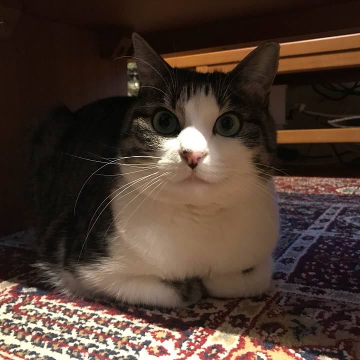 F65973da a1cb 430e 94ca e4ce40e82015 1553982561877