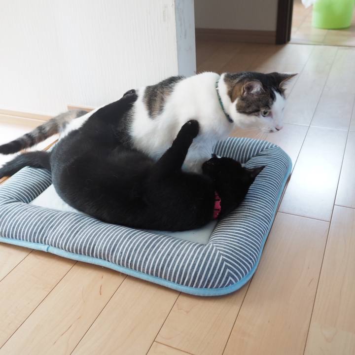 F6597afc 64db 4c4f 9ef5 f55586c4fb60 1537161133906