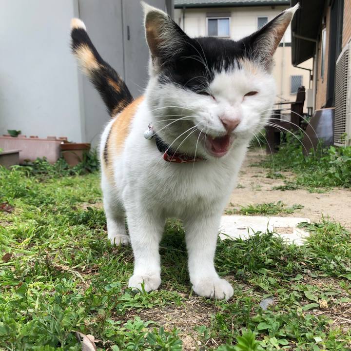 F6599572 a2b7 4ca9 8205 d4f071f300f3 1617574444279