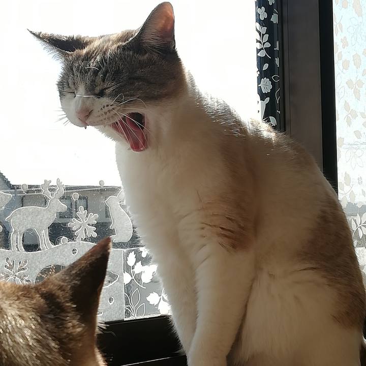 F659aa7f b166 4649 818c 3f4ef1f0319c 1552800260856