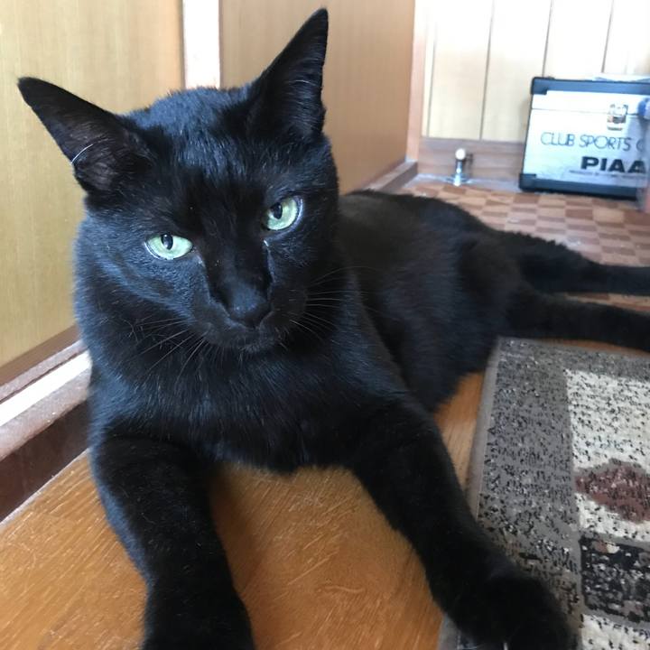 F659baef ad70 4d44 bec3 f2317bd8c69c 1528680041267