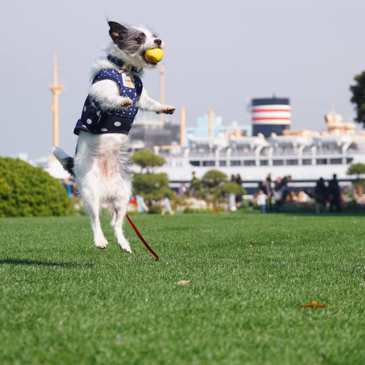 F659c96d 66d9 4917 a85f a05822823f78 1553605918796