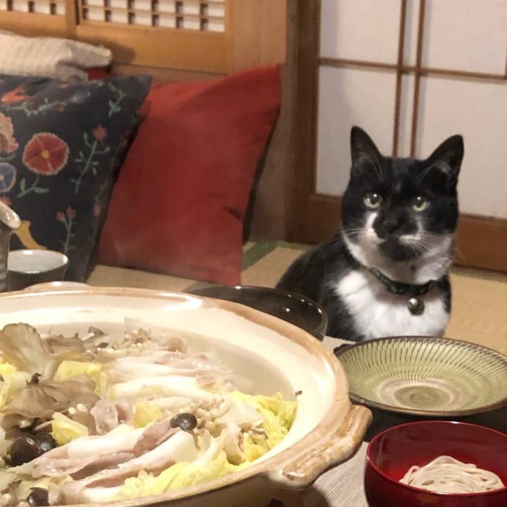 F659ca10 cfea 4e99 aceb de67ee9d61c8 1546267528797