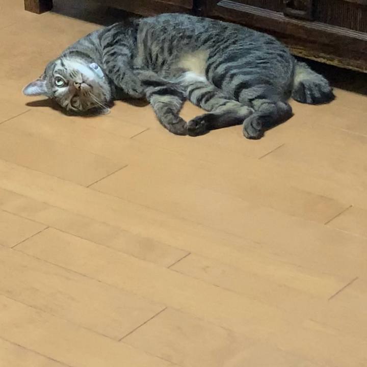 F659d806 2092 44ce 8db5 62460a34a74d 1631707065806